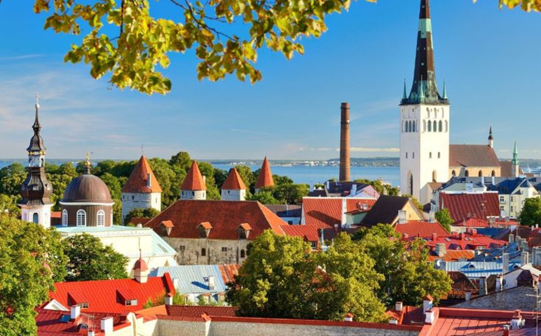 3 Reasons Why Tallinn (Estonia) Is Europe’s ‘Greenest’ City _ Flora & Fauna (1)
